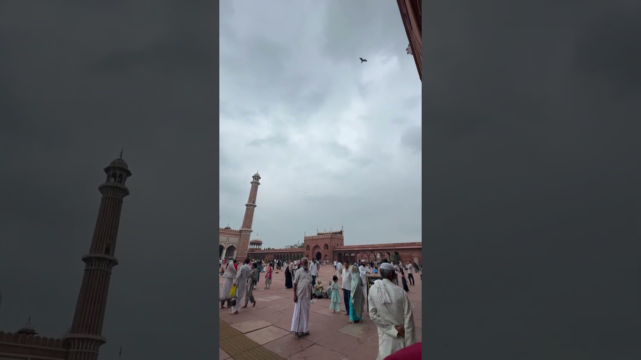 Delhivibes #bollywood #music #live #today #delhi #vlog #friends #ytshorts #entertainment #jamamasjid