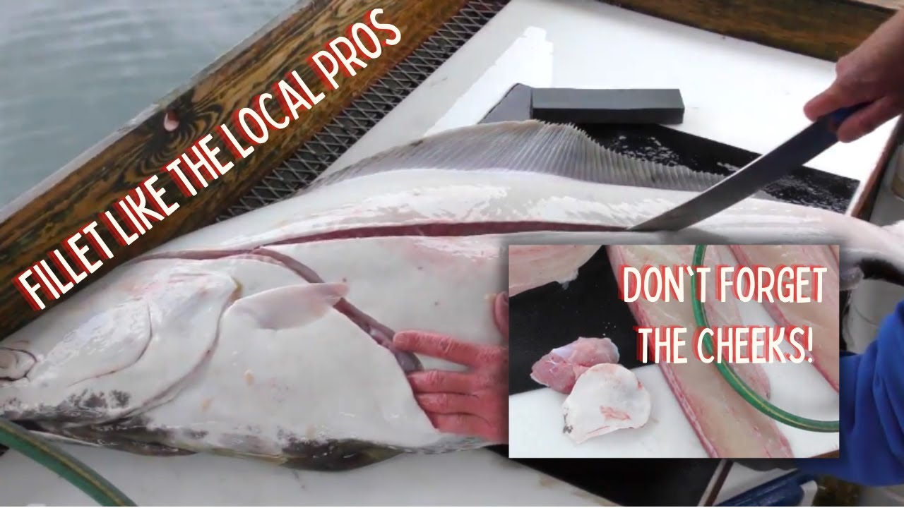 How to Fillet a Halibut like a Canadian! | Northwest Fishing Tips