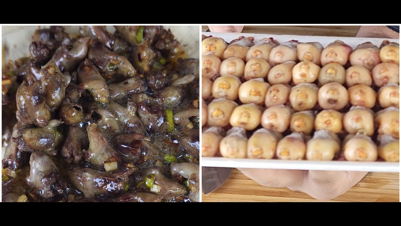 عصفور التين
