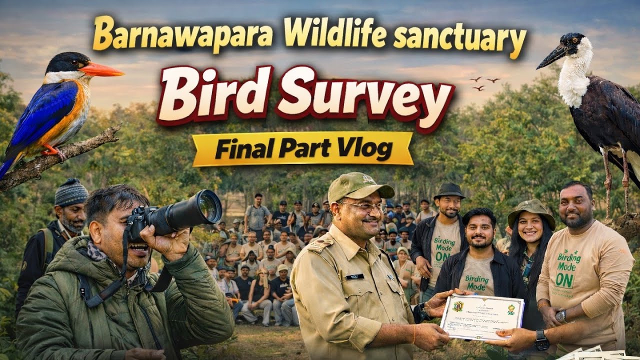Barnawapara Wildlife Sanctuary Bird Survey | Final Part Vlog 🐦🌿 | Morning Survey 