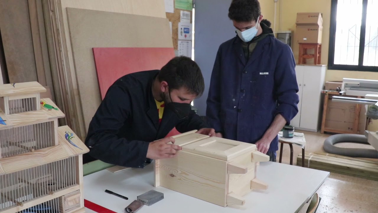 Auxiliar en treballs de fusteria i instal·lacions de mobles