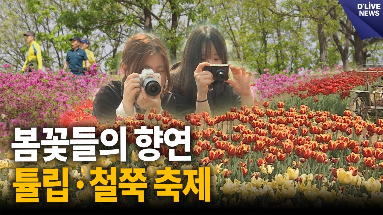 봄꽃들의 향연…튤립·철쭉 축제 이어져 [파주] 딜라이브 뉴스