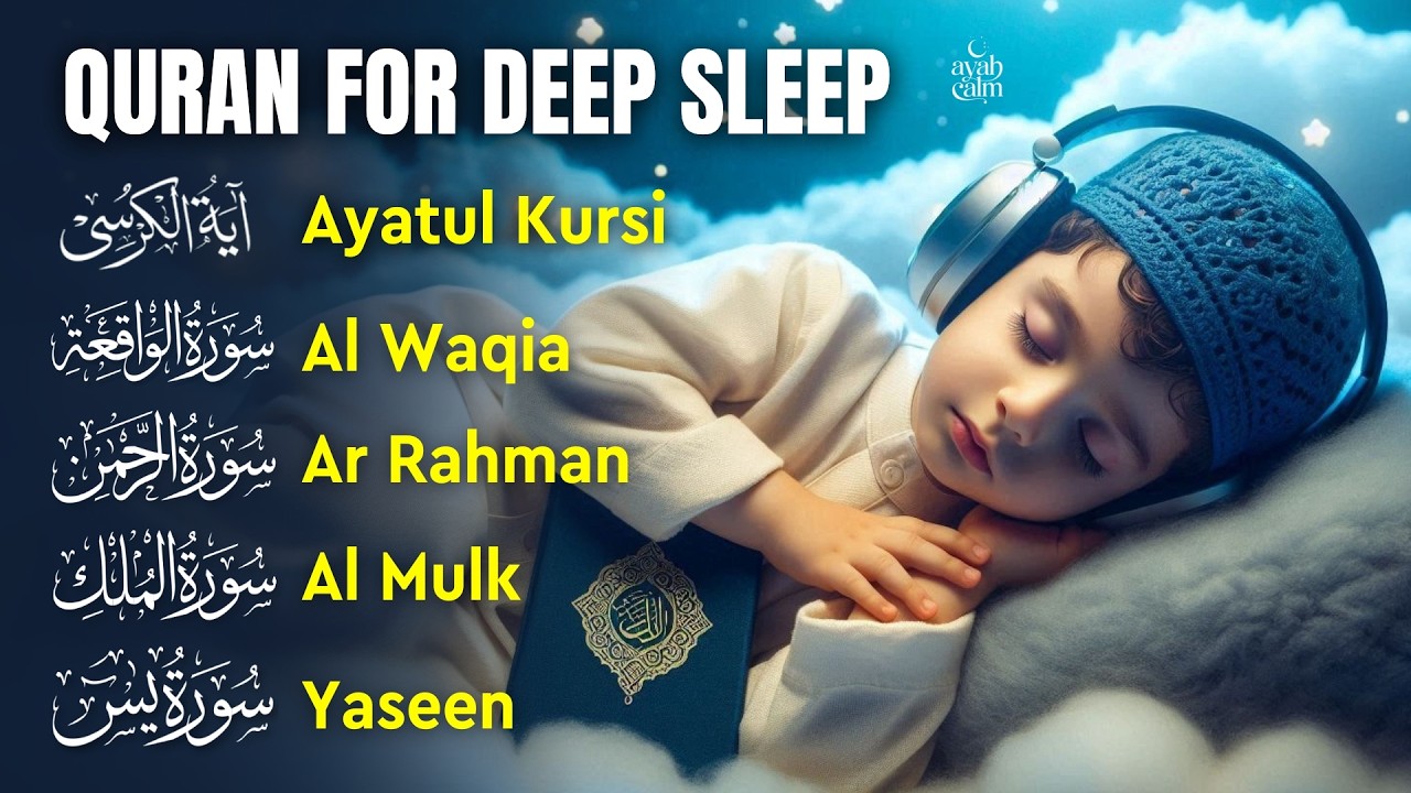 Quran Recitation in Beautiful Voice | Fatihah, AyatulKursi, Mulk, Yaseen, Rahman, Waqiah | Ayah Calm