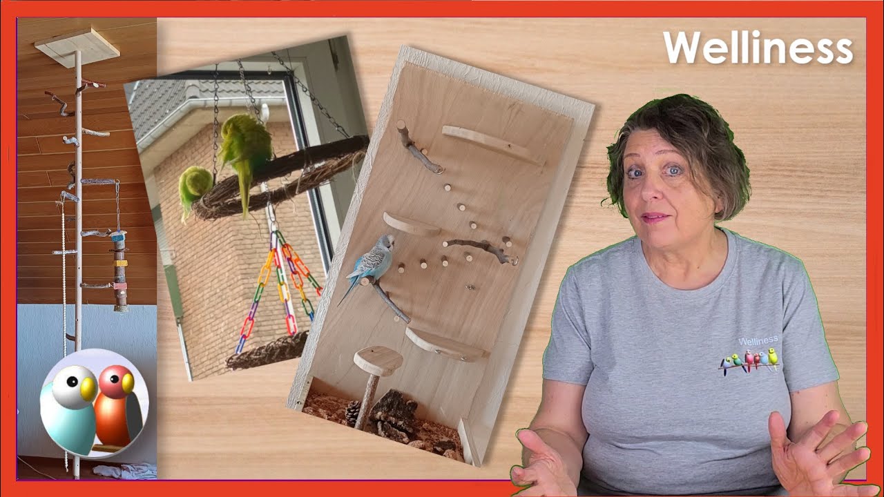 Die schönsten Freiflugspielplätze, Käfigbewertung
