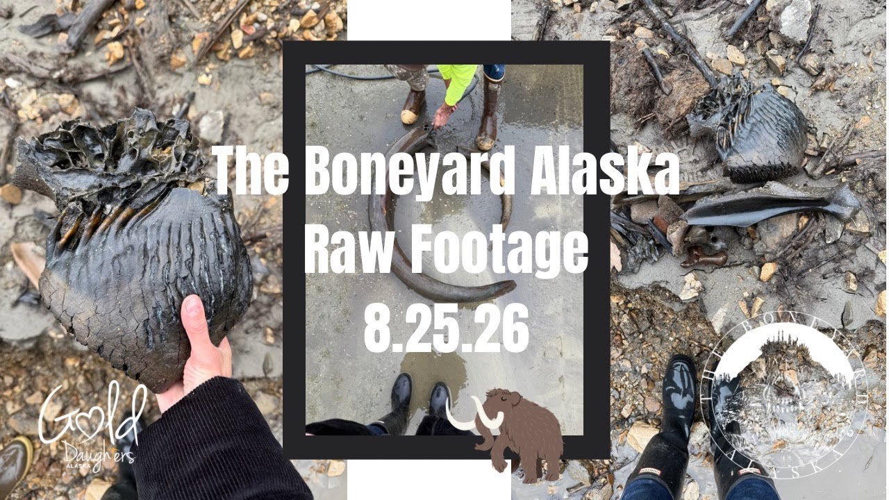 The Boneyard Alaska Raw 8.26.25