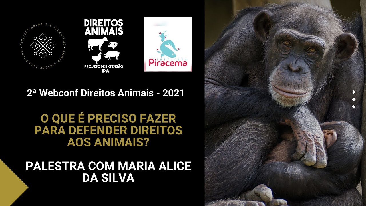O que é preciso fazer para defender direitos aos animais? Palestra com Maria Alice da Silva