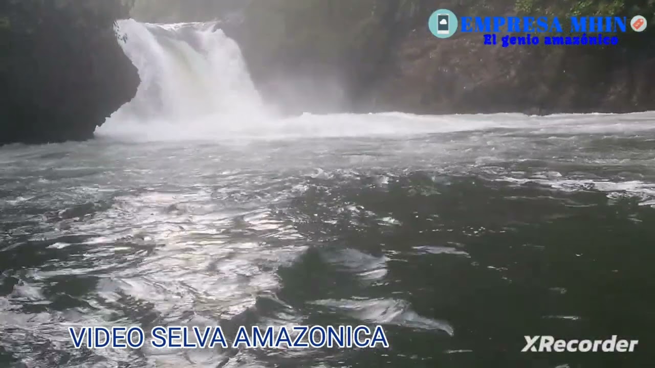 GRUPO MUSICAL SELVA VERDE/USHPA LORA /URA PARTI