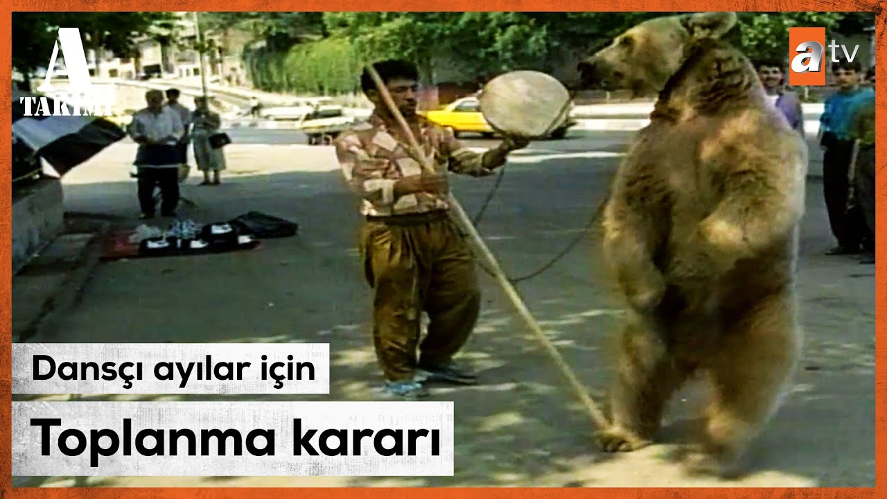İstanbul'da dans eden ayılar - Savaş Ay ile A Takımı | 1993