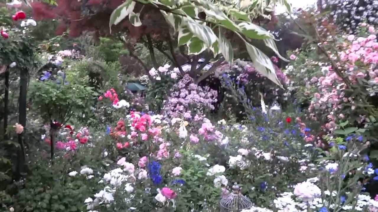 散ゆくバラたち