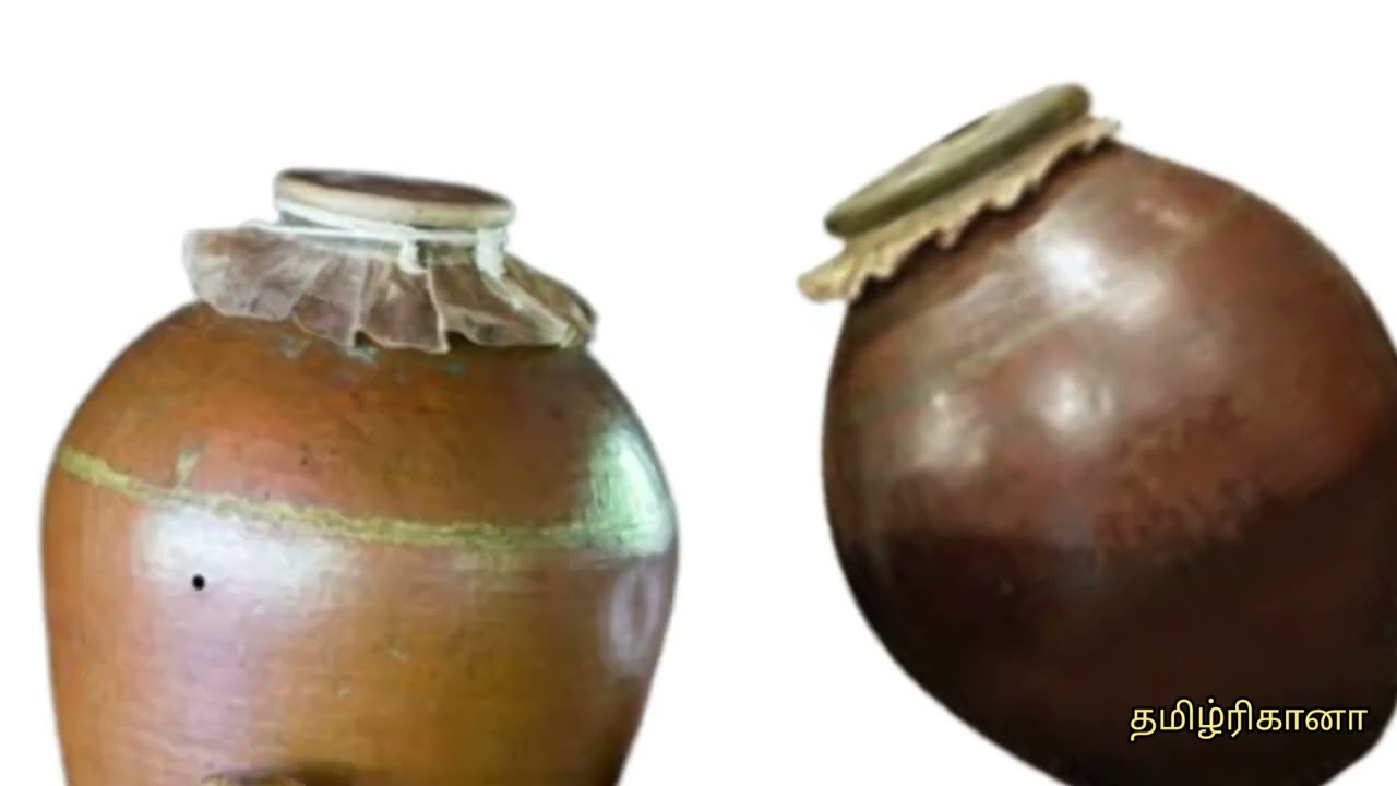 தமிழர் இசைக்கருவிகள் பிரிவு  - 3 எட்டாம் வகுப்பு பறை, மத்தளம், முரசு,முழவு,யாழ்,வீணை