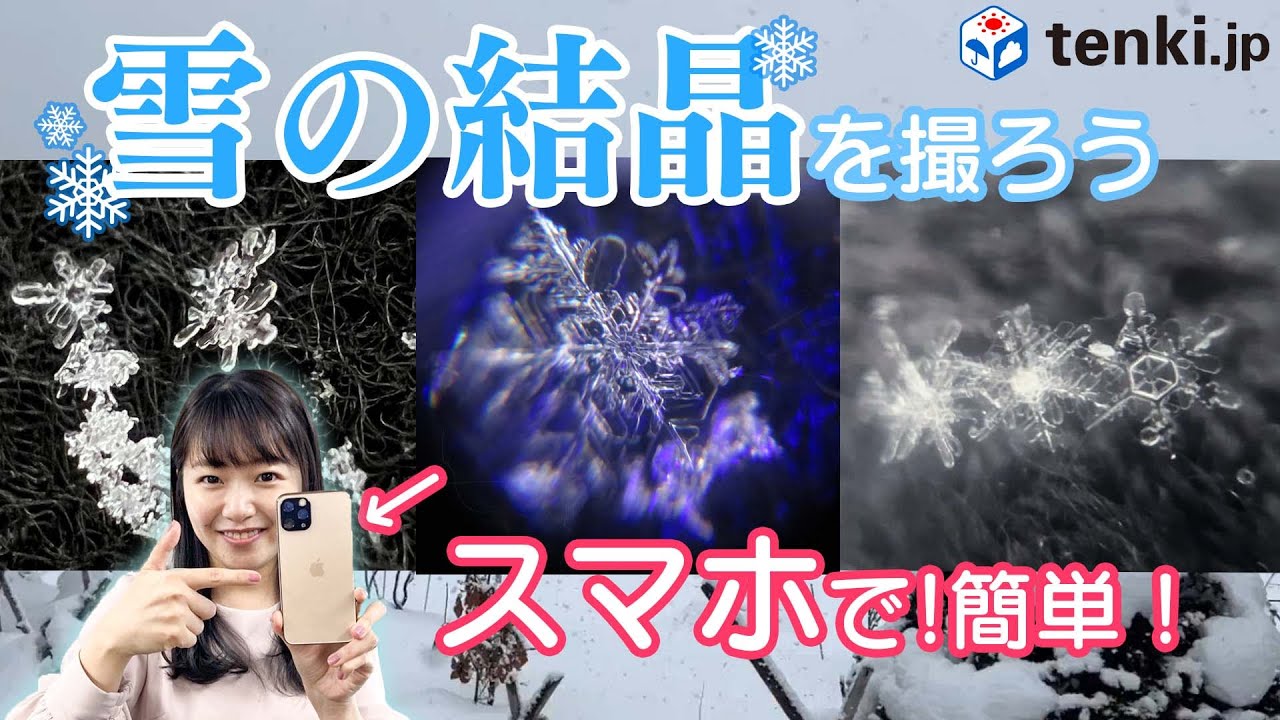 【冬の自由研究】雪の結晶をスマホで撮る！天気予報専門メディアが解説します！