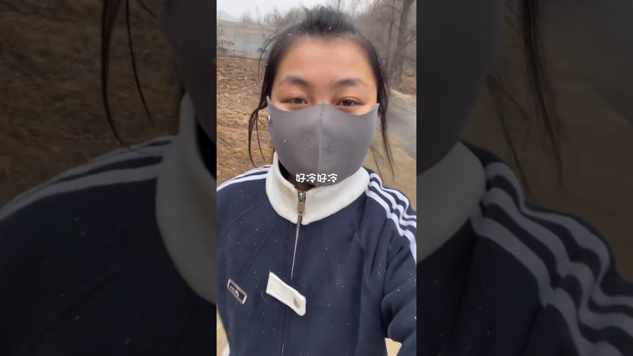 Real Life Chronicles: Daily Adventures Captured