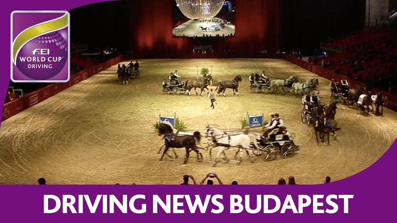 Koos De Ronde pushes to the limit - News - FEI World Cup&trade; Driving - Budapest
