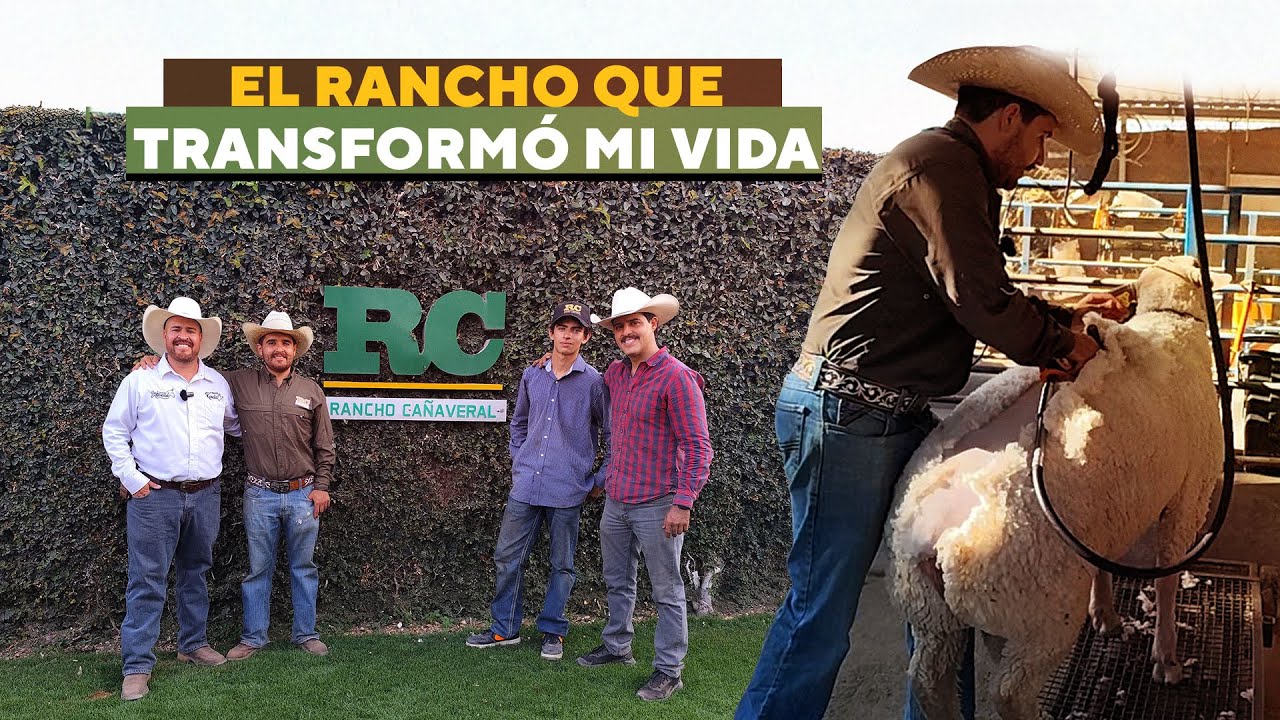 Un Rancho, una Oportunidad y el Inicio de mi Pasión por los Animales