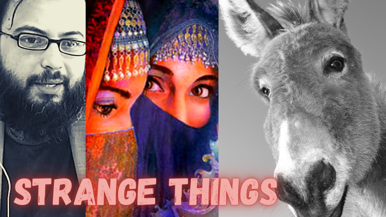 STRANGE Explanation of Imam Mahdi Arrival & Dajjal's DONKEY (Bible/Galilee/Quran/Euphrates River)