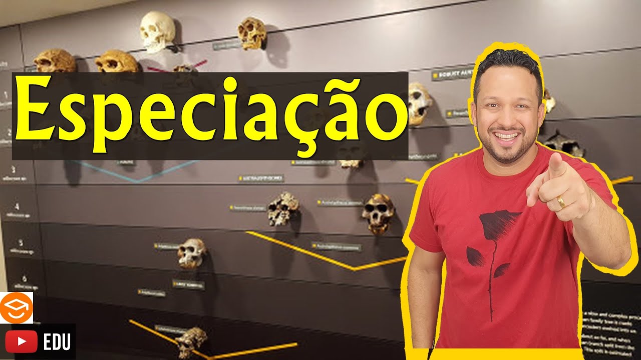 Especiação - Conceito - Evolução - Biologia com o Tubarão