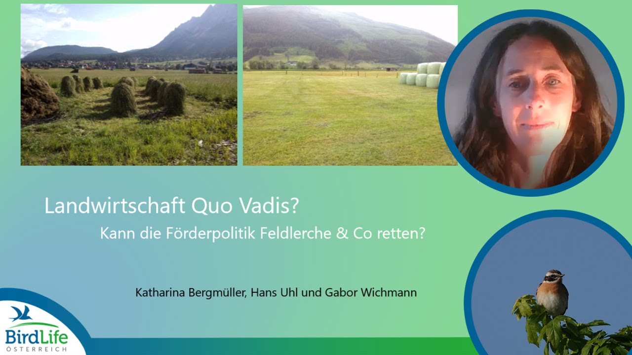 Online-Vortrag 