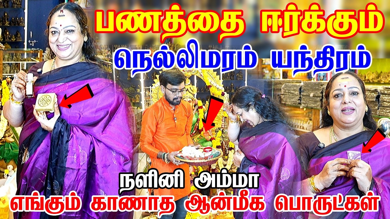 வீட்டில் பணம் சேர்க்கும் ரகசியம் இது தான் | Actress Nalini Exclusive | நடிகை நளினி | SRISHTI OLI