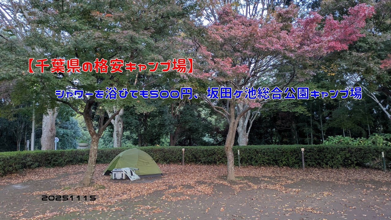 【千葉県の格安キャンプ場】シャワーを浴びても500円、坂田ケ池総合公園キャンプ場　20251115