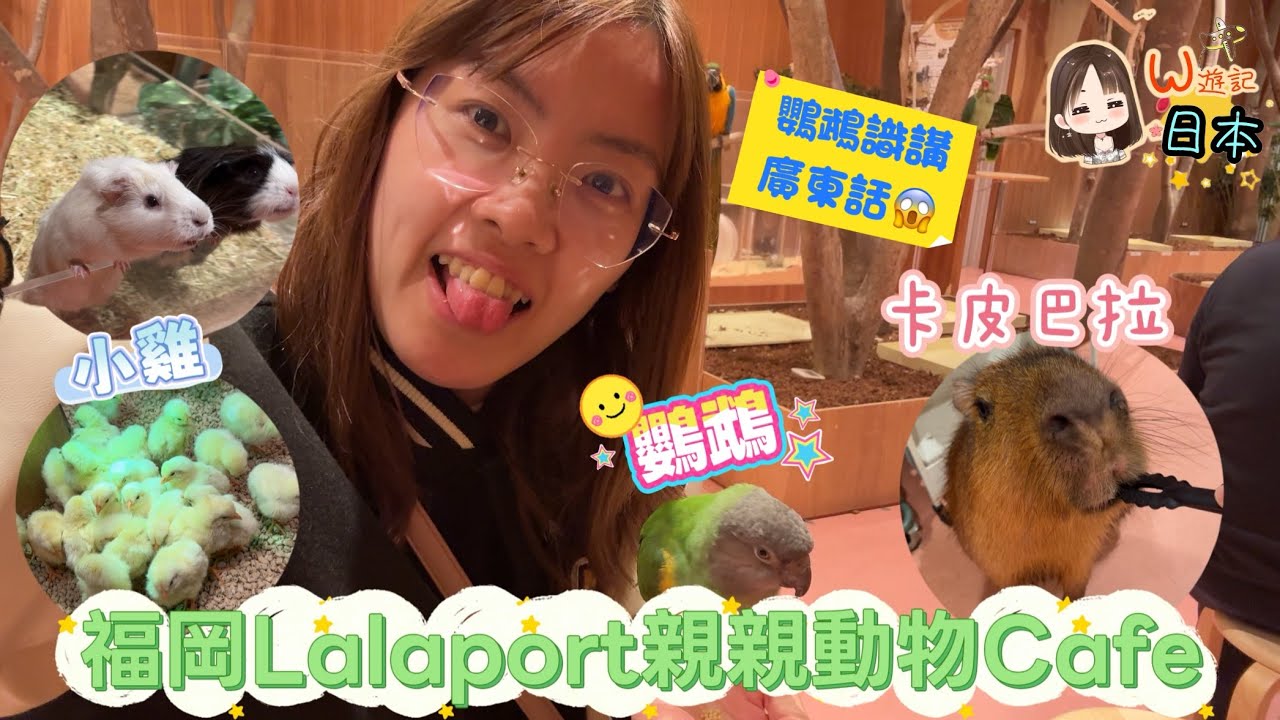 《W遊記-北九州之旅》福岡Lalaport親親動物｜識講廣東話鸚鵡？
