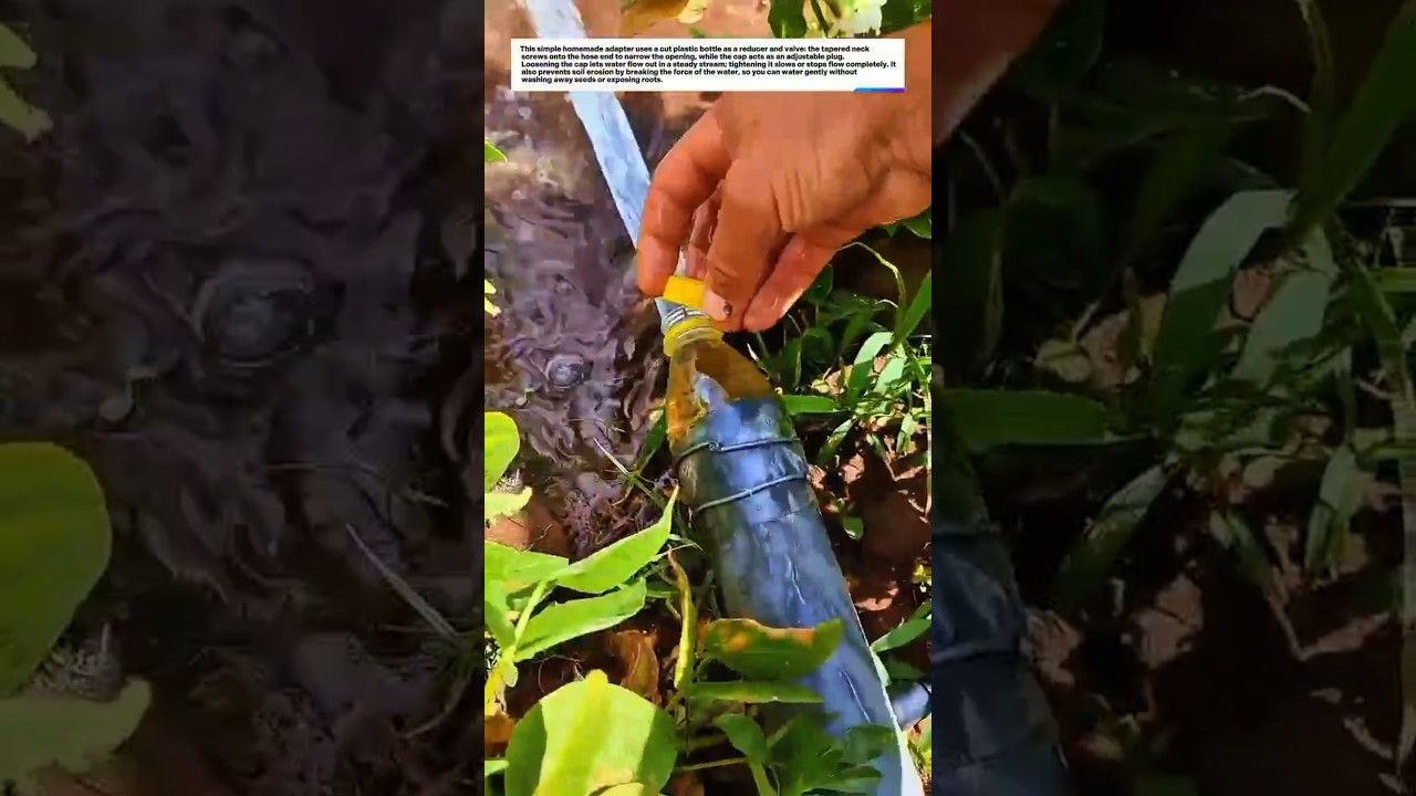 Бесплатный лайфхак для полива! Идеальный контроль подачи воды 💧🌱