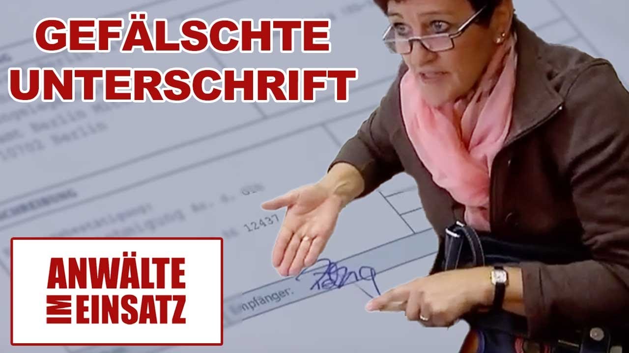 Gefälschte Unterschrift! Wer hat den Betrug begangen?! |2/2| Anwälte im Einsatz | SAT.1