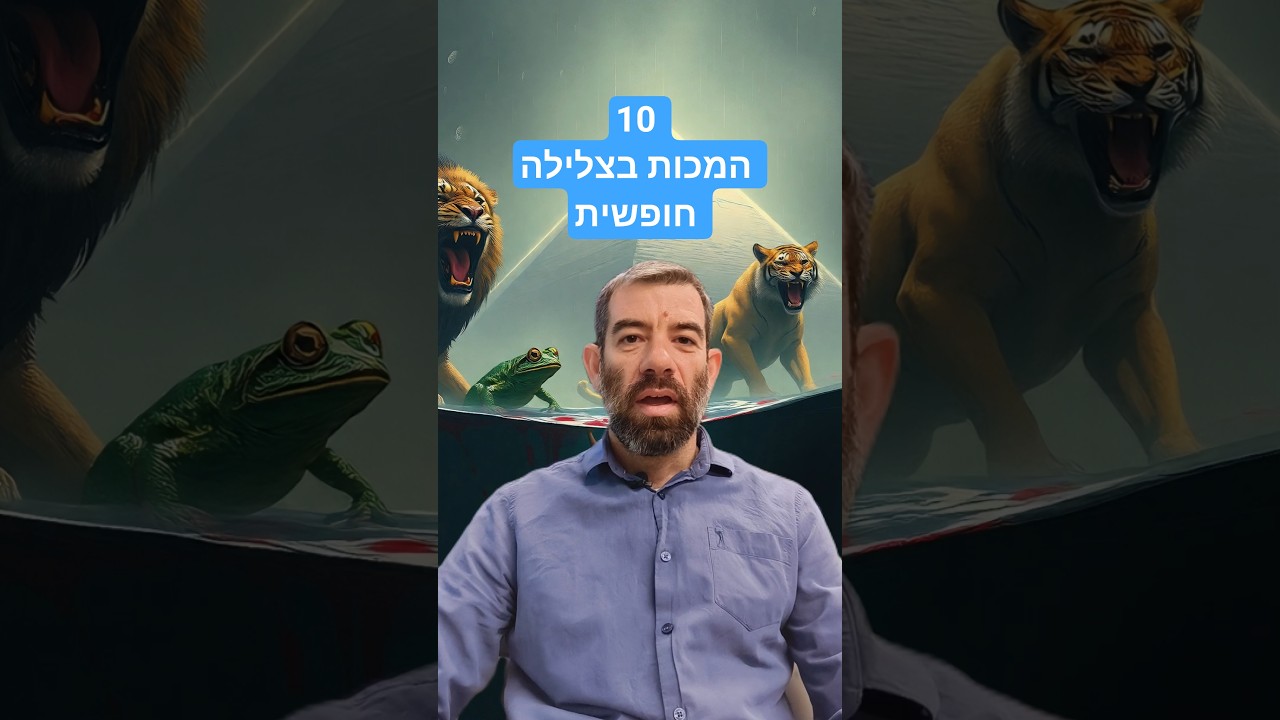 10 מכות בצלילה חופשית #צלילהחופשית #צולליםעםצלול #freediving #צלילה #פסח