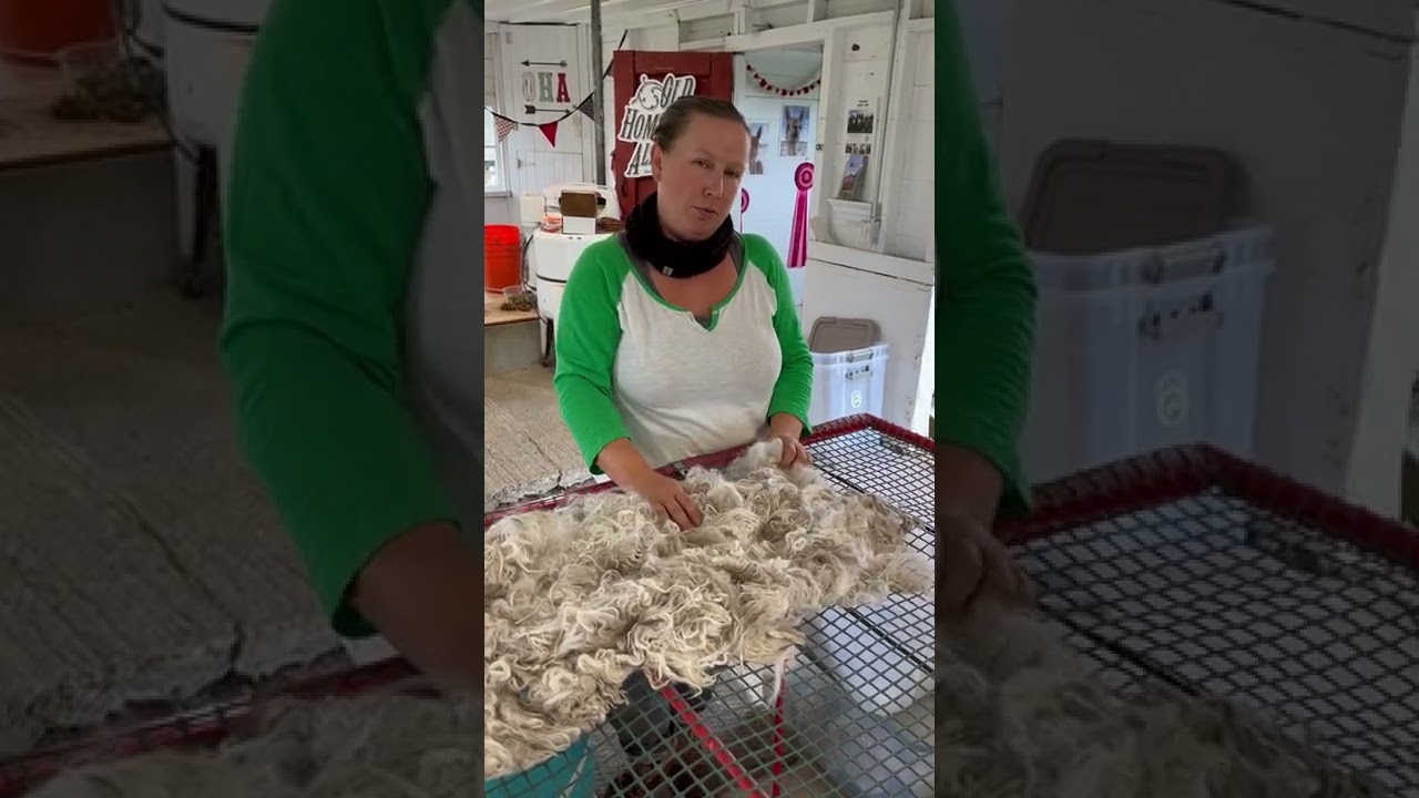 Hand Processing Fiber - part 1 - picking