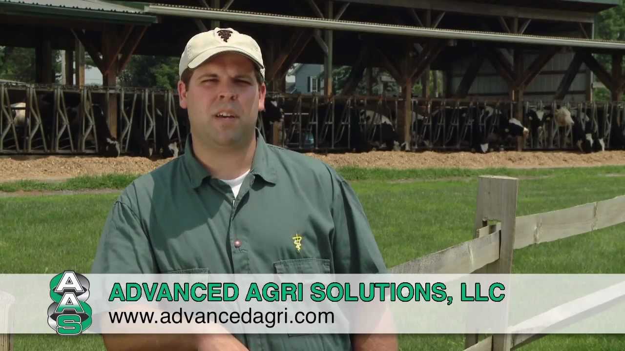 How to Drench a Cow - Simple Step-by-Step Instructions