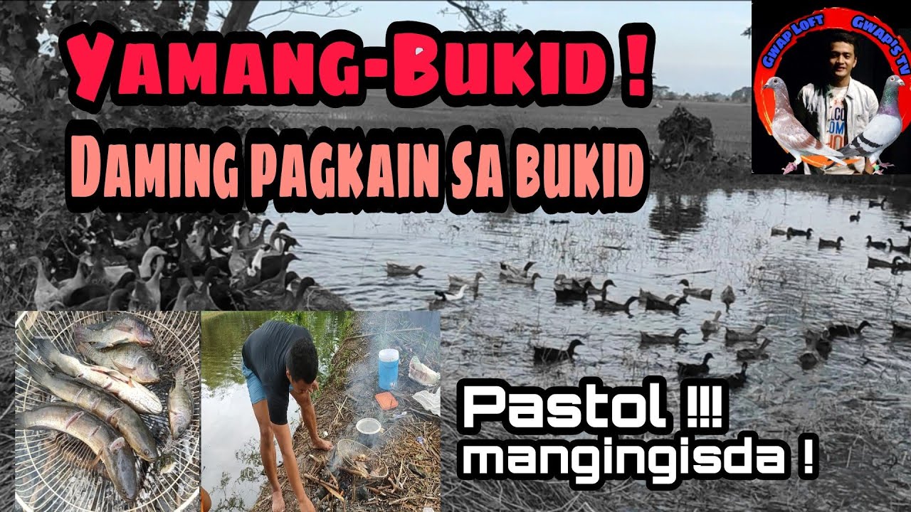 DUCK FARMING | POULTRY PHILIPPINES | ALAGANG ITIK | FISHING AND COOKING