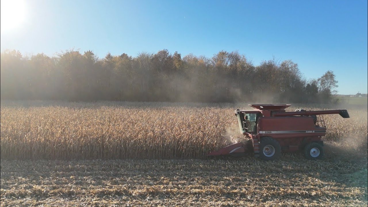 Pete & Jenny Jansen combing corn! #farming #farmer #farm #canada #germany #netherlands #johndeere 