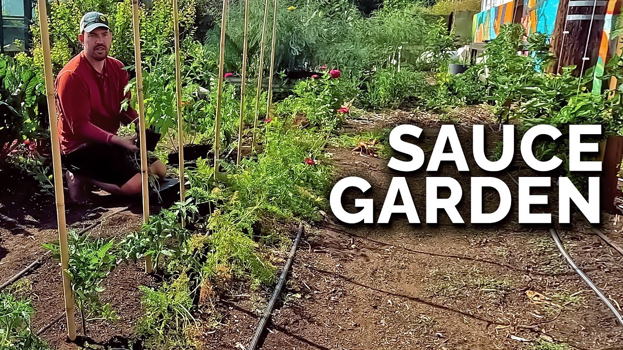Planting a Tomato Sauce Garden! 🍅
