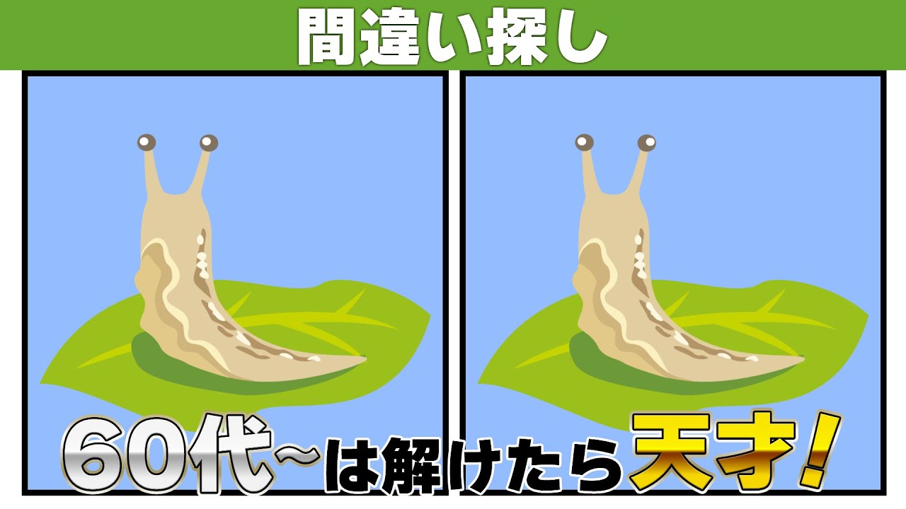 【間違い探し】楽しく脳を鍛えていつまでも若々しく【クイズ】