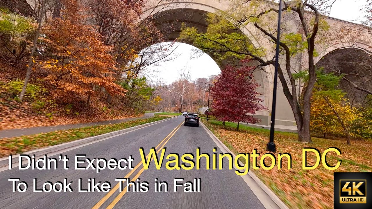 I Didn’t Expect Washington DC to Look Like This in Fall