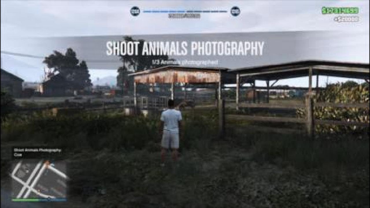 GTA Online - Shoot Animals Photography - Cow, Rabbit and Chicken Hawk Locations