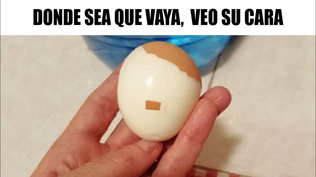 MEMES RANDOM #557