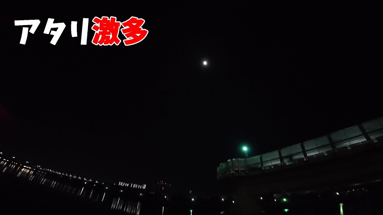 【芦屋浜】2月の夜釣りが激熱でした。