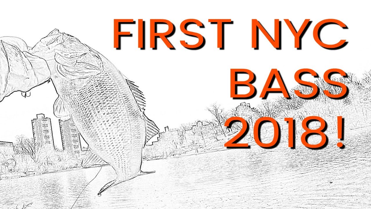 FIRST NYC BASS 2018 - HARLEM MEER, CENTRAL PARK