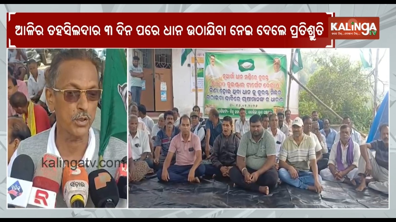 BJD Stages Protest in Kendrapara Over Delay in Paddy Procurement from Mandis | Kalinga TV