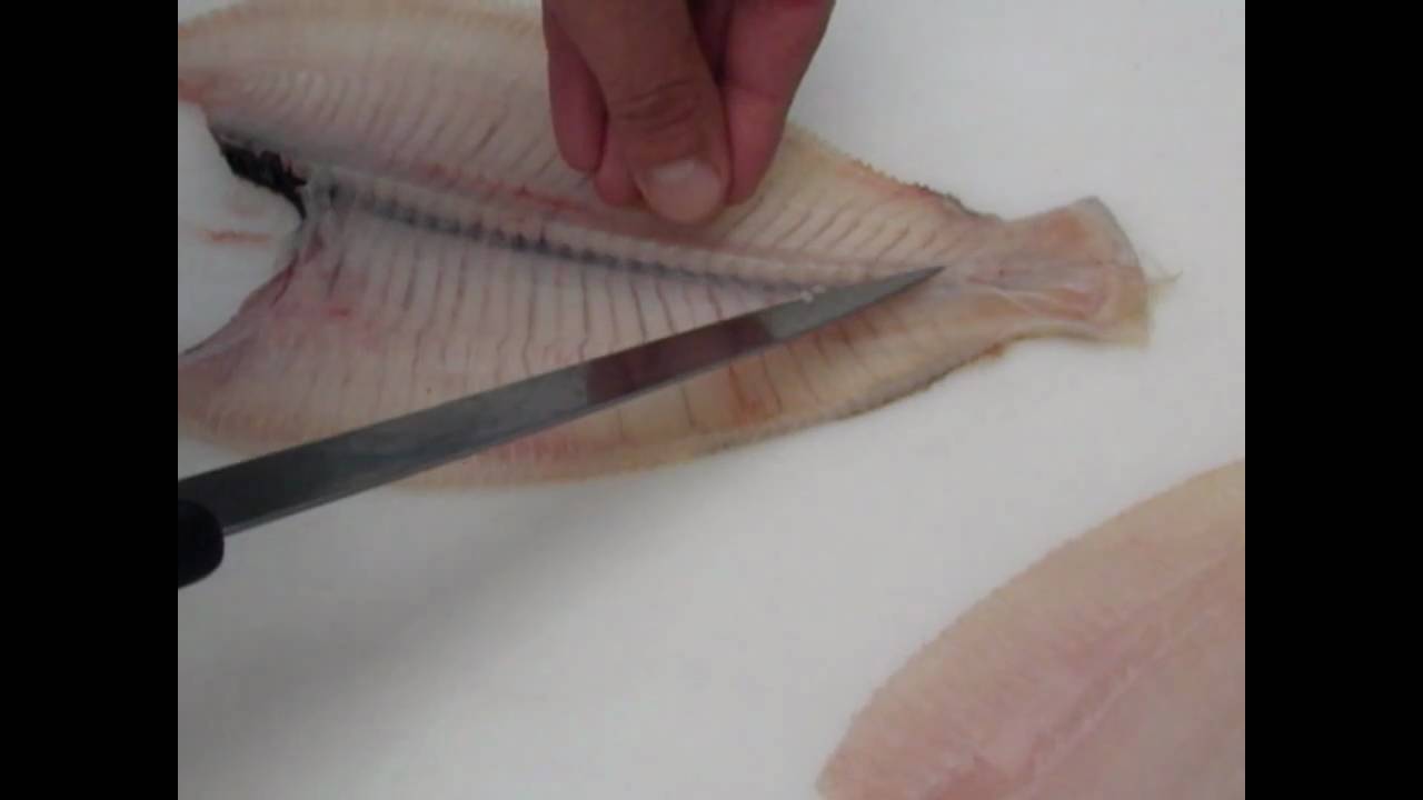 Passionate About Fish - How to fillet Plaice fillets: beginners