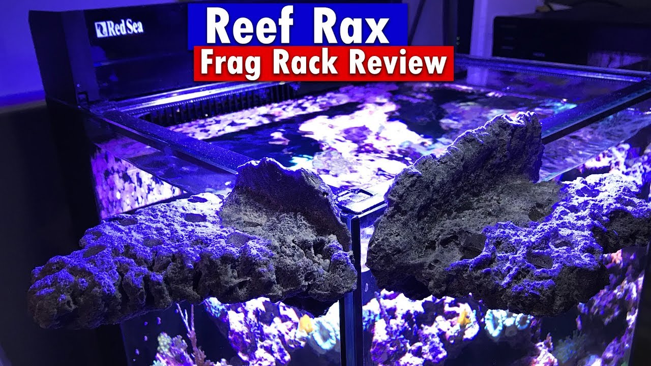 Reef Rax - Magnetic Live Rock looking frag rack review