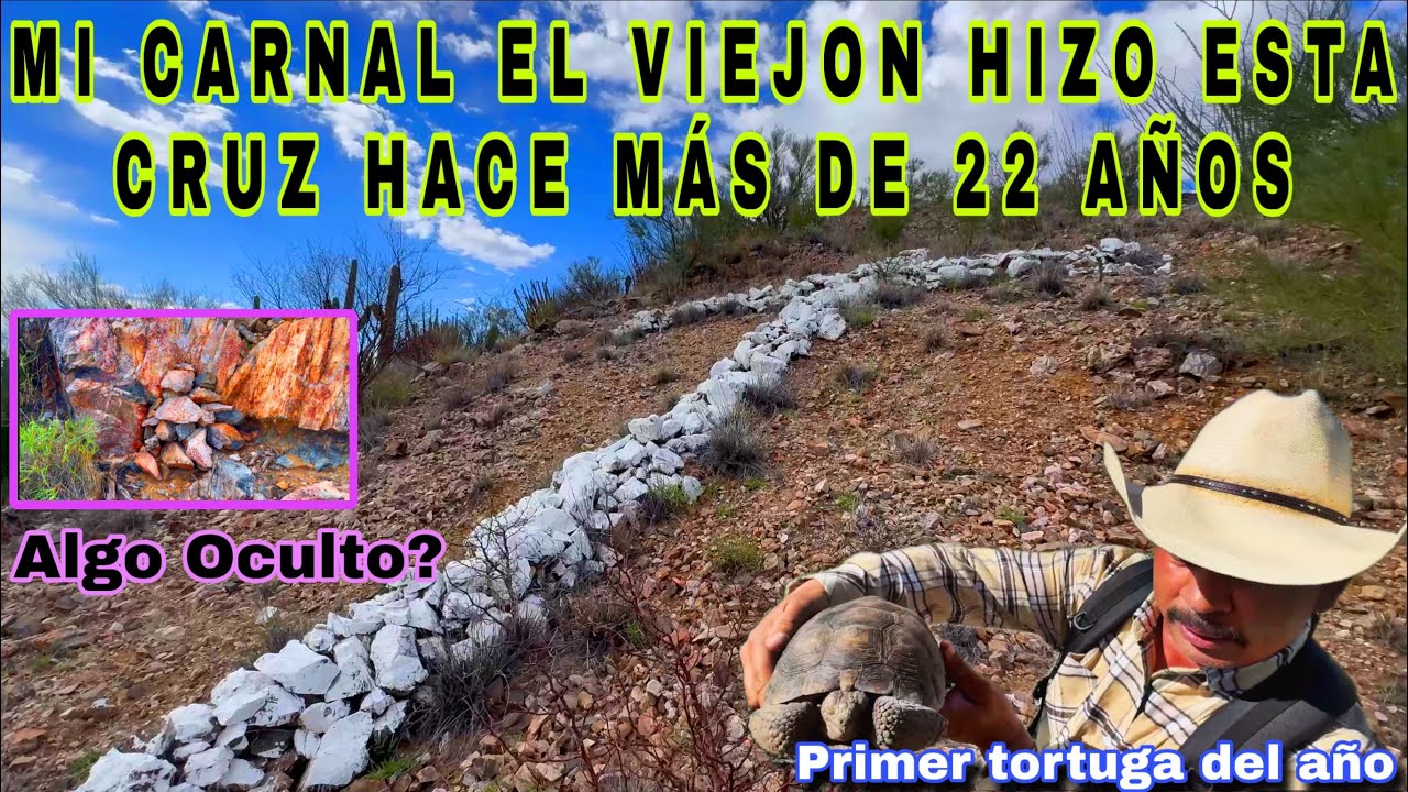 Los Recuerdos Del Viejon