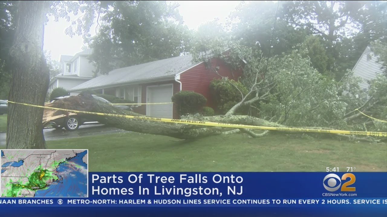 Henri's Impact: Tree Falls On 2 Homes In Livingston, N.J.