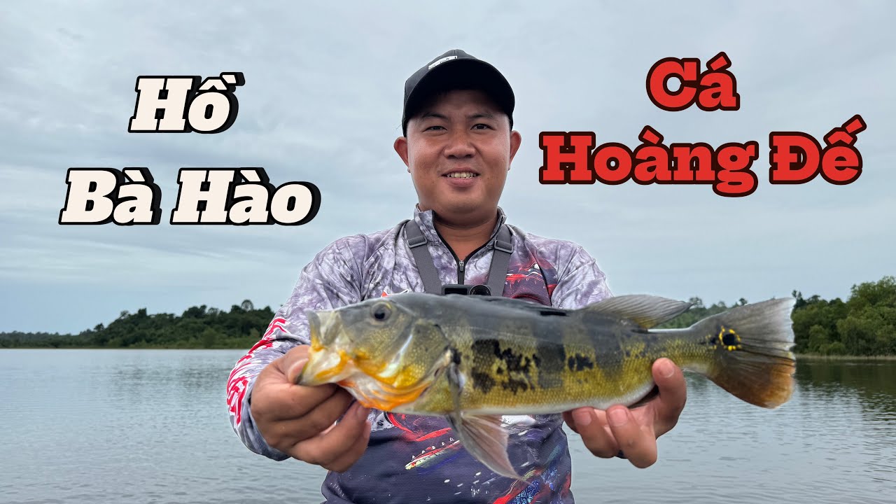 Câu cá Hoàng Đế tại Hồ Bà Hào #tamlaoquy