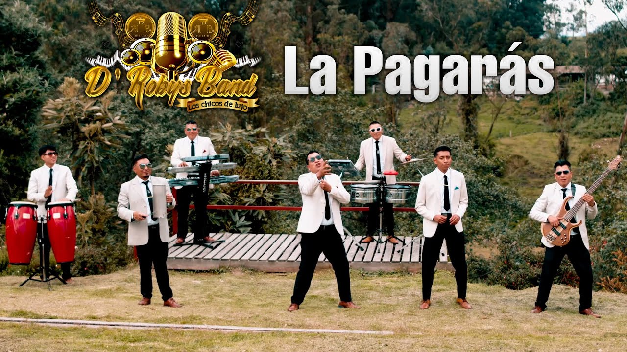 D'ROBYS BAND 