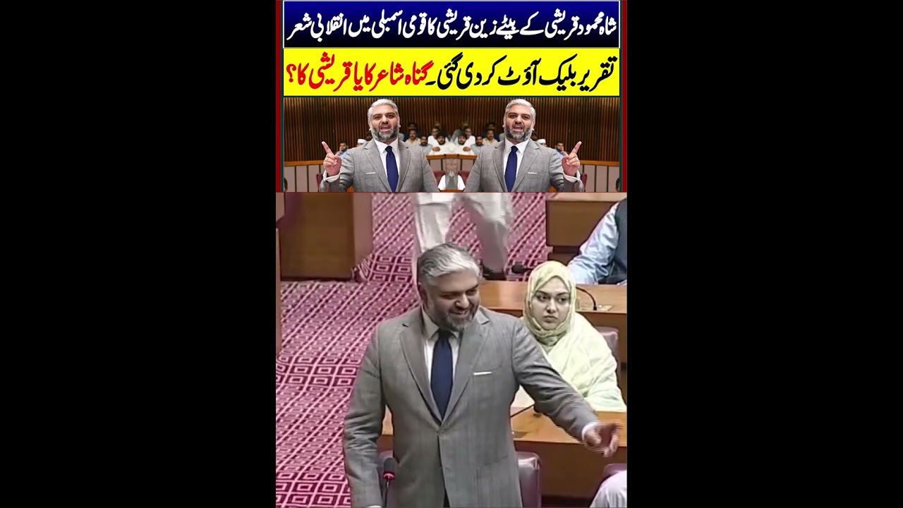 PTI Zain Qureshi Stunning Speech In National Assembly