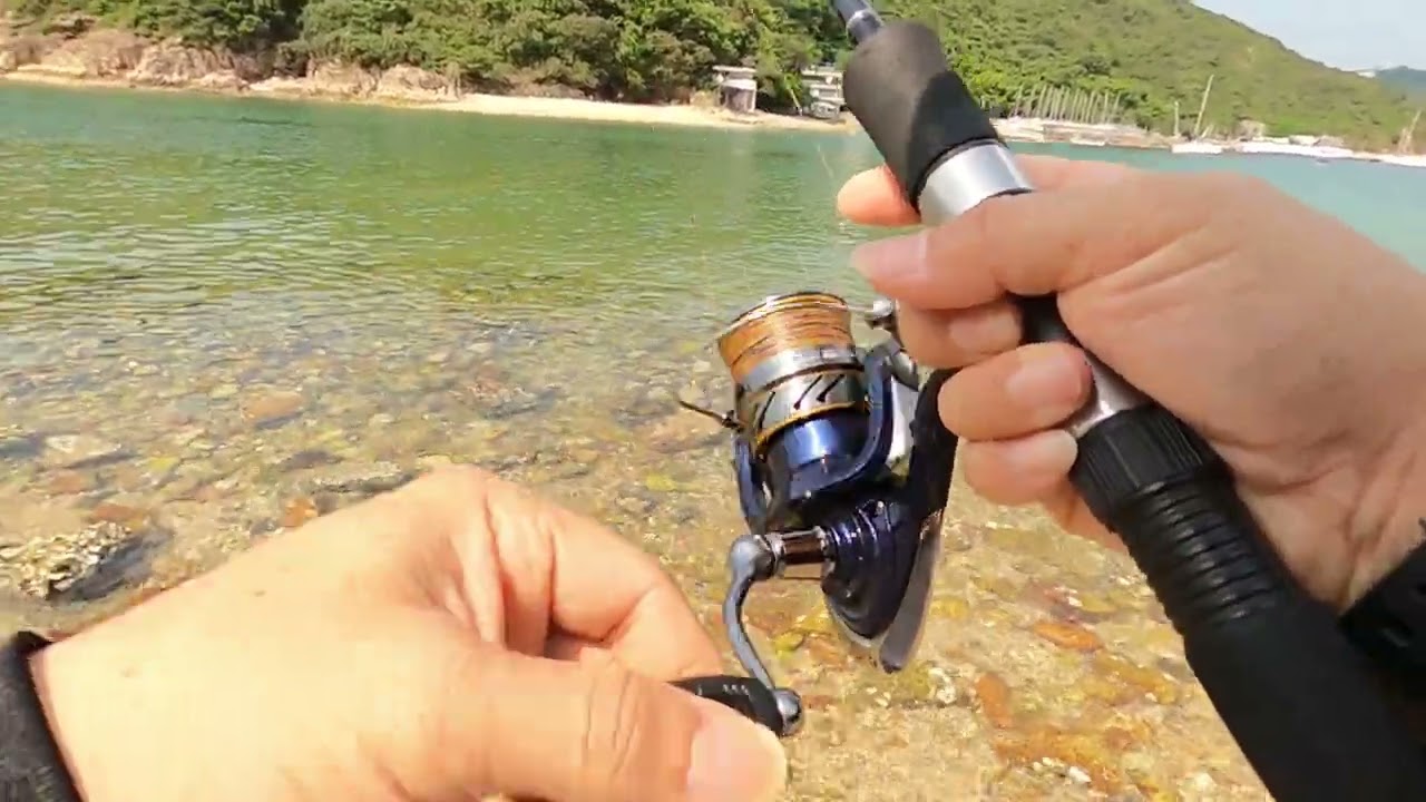 Daiwa Crest LT 3000-C Review