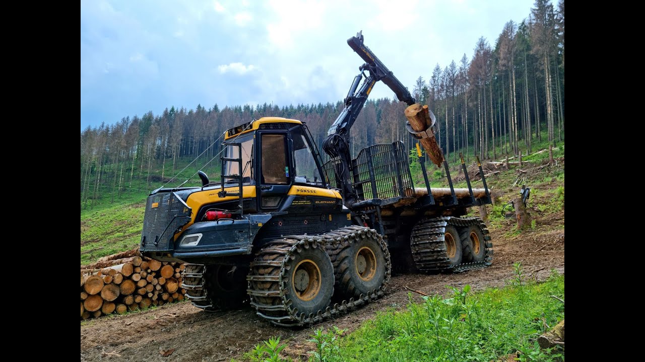 🌲*Big Elephant* • Ponsse Elephant • The King of Sauerland • Forstbetrieb Klute-Lenze • Part-1 🌲