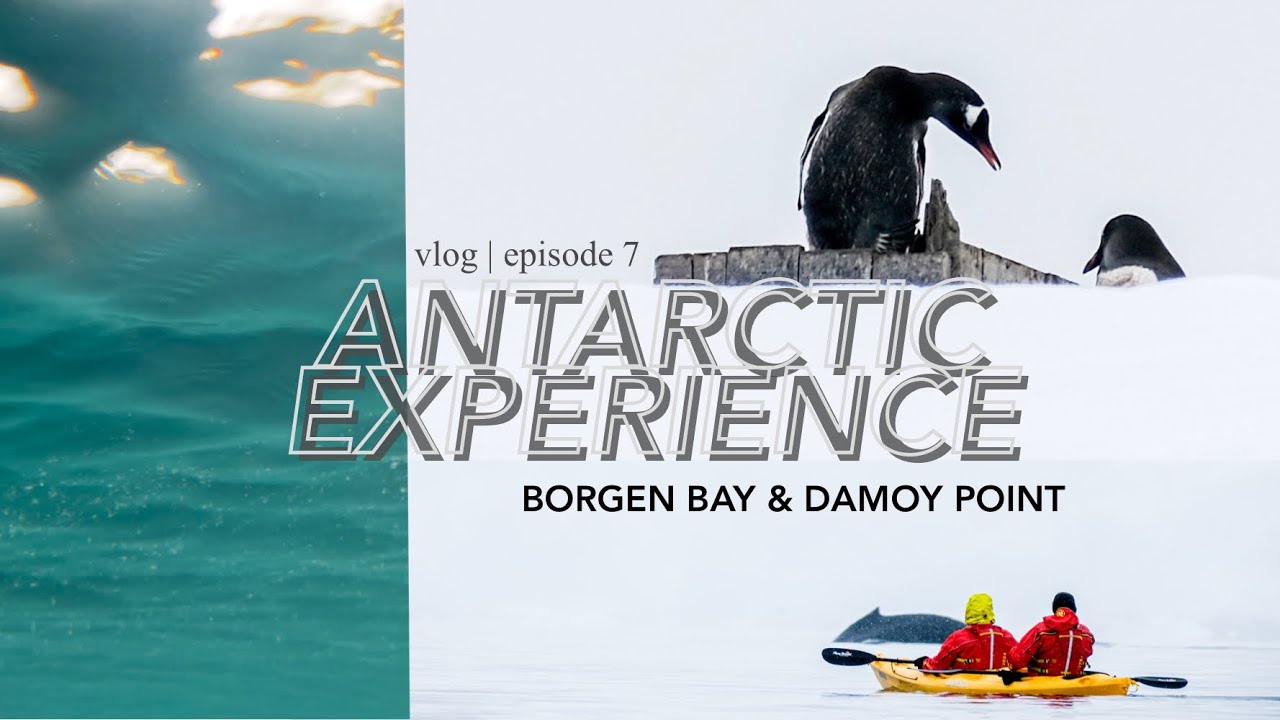 ANTARCTIC EXPERIENCE VLOG 🐳 episode 7 | Borgen Bay & Damoy Point