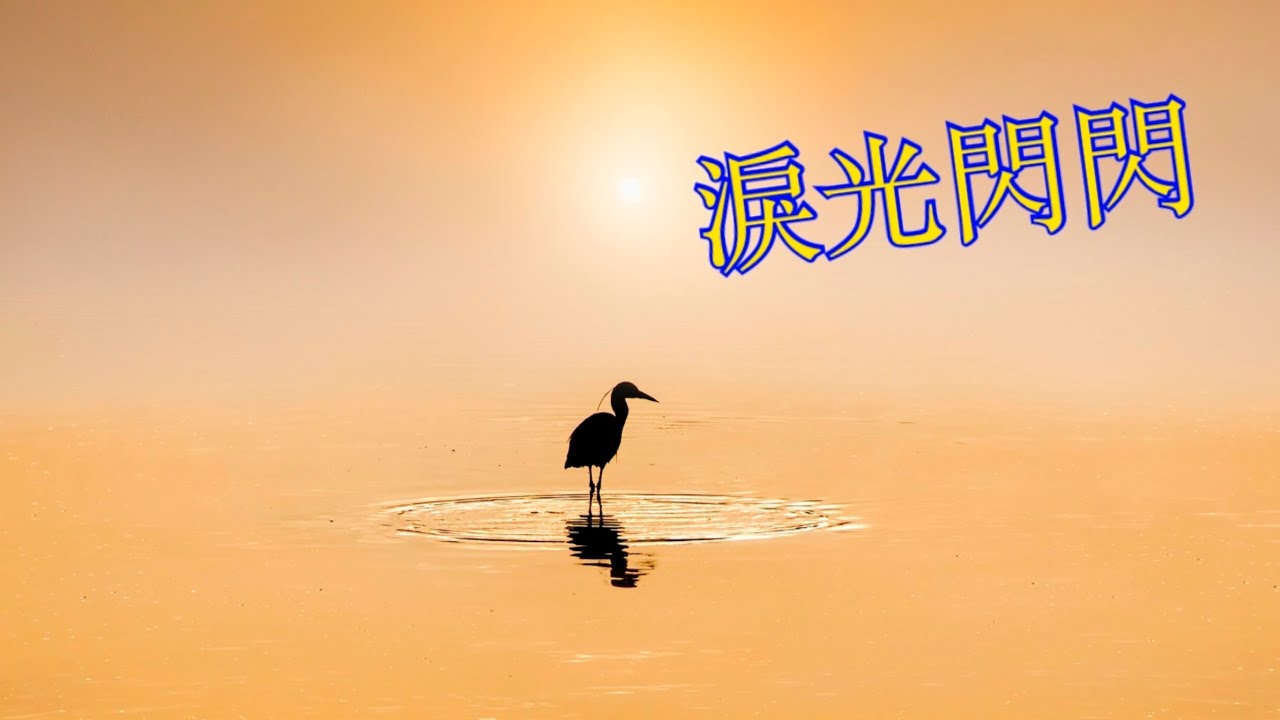 夏川里美《淚光閃閃》《涙そうそう》｜小平Flute